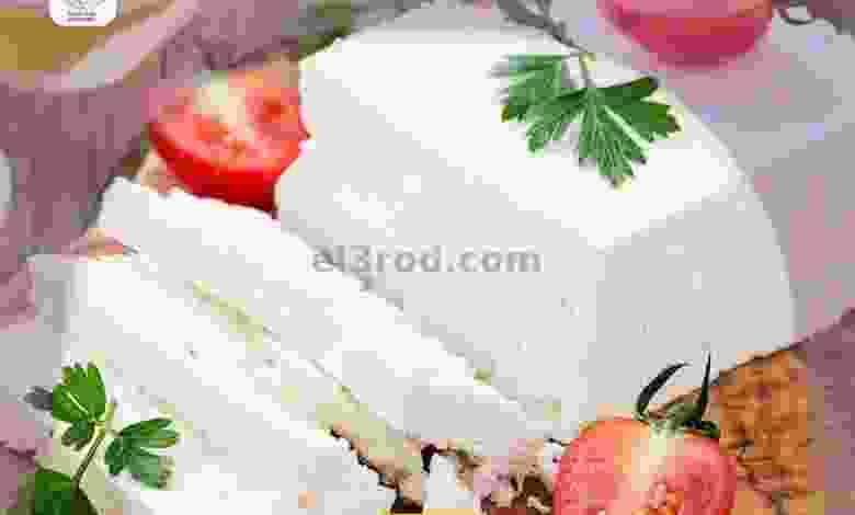 el3rod.com00014-361