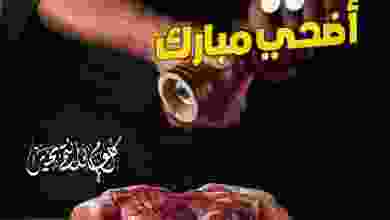el3rod.com00056-1