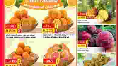 el3rod.com00001-1017
