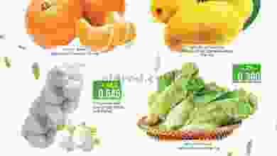 el3rod.com00001-1045