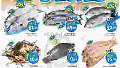 el3rod.com00001-1242