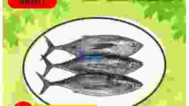 el3rod.com00001-1246