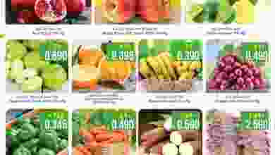 el3rod.com00001-1272