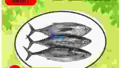 el3rod.com00001-1291