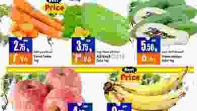 el3rod.com00001-1298