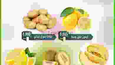 el3rod.com00001-1338