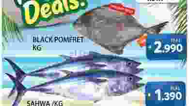 el3rod.com00001-1385