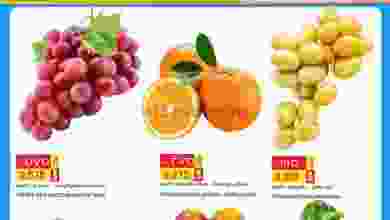 el3rod.com00001-1393