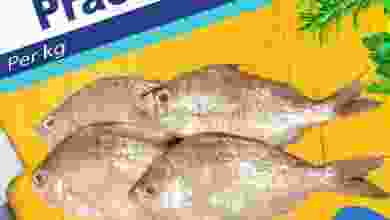 el3rod.com00001-1442