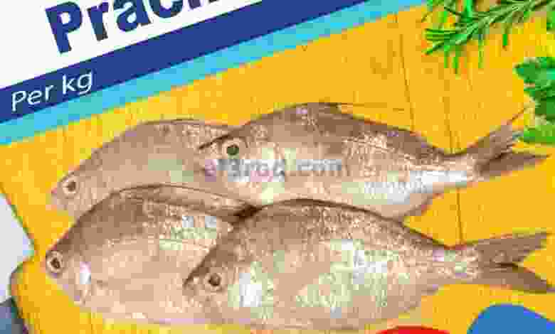 el3rod.com00001-1444