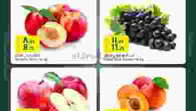 el3rod.com00001-181