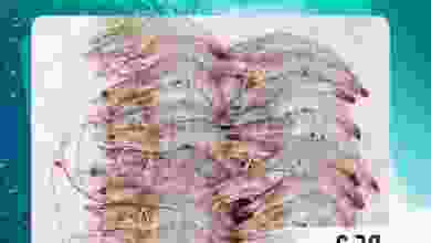 el3rod.com00001-298