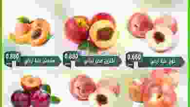 el3rod.com00001-321