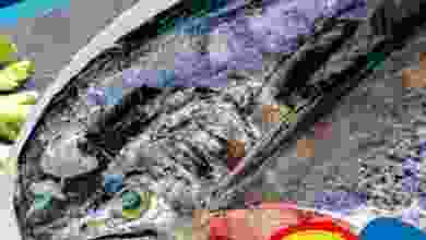 el3rod.com00001-376