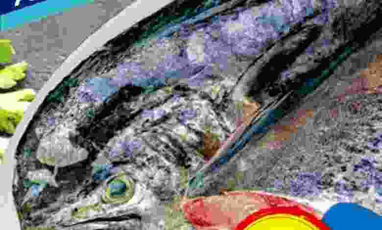 el3rod.com00001-376