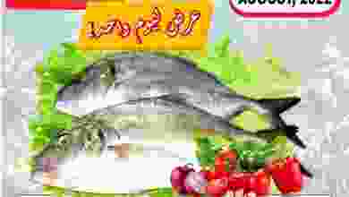 el3rod.com00001-406