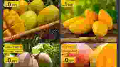 el3rod.com00001-427