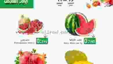 el3rod.com00001-469
