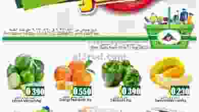 el3rod.com00001-510