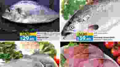 el3rod.com00001-549