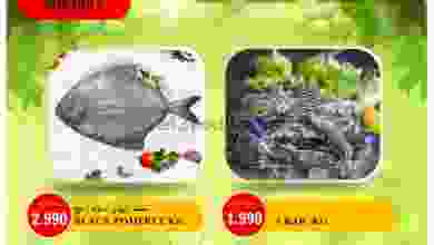 el3rod.com00001-582