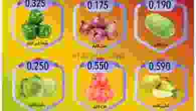 el3rod.com00001-601