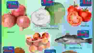 el3rod.com00001-639