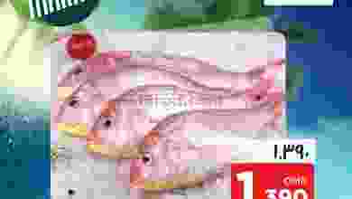 el3rod.com00001-645