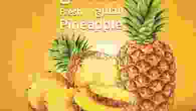 el3rod.com00001-647