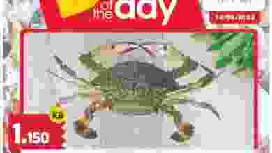 el3rod.com00001-665