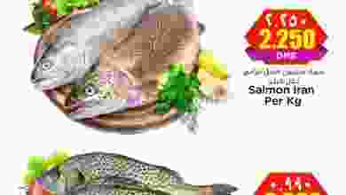 el3rod.com00001-914