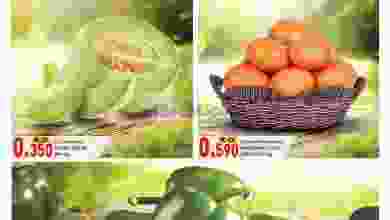 el3rod.com00001-94