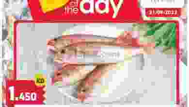 el3rod.com00001-971