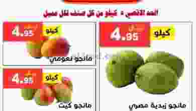 el3rod.com00002-1168