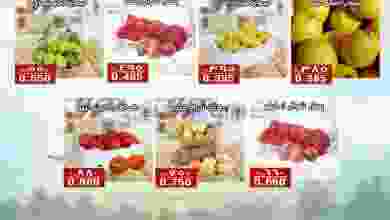 el3rod.com00002-564