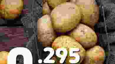el3rod.com00002-663