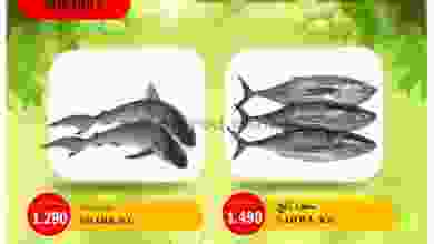 el3rod.com00002-778