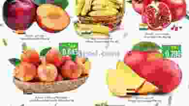 el3rod.com00003-496