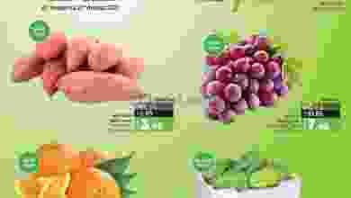 el3rod.com00003-699