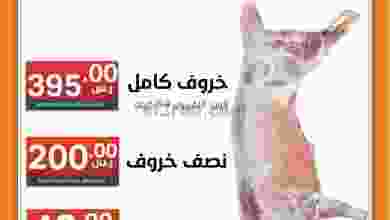 el3rod.com00003-934