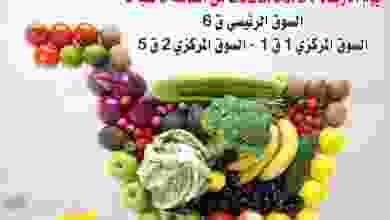 el3rod.com00004-927