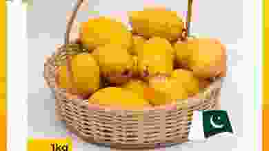 el3rod.com00006-93