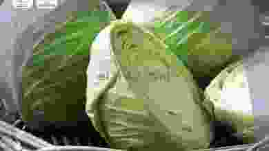 el3rod.com00010-94