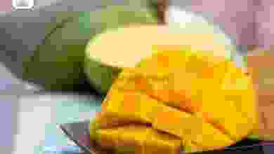 el3rod.com00012-367