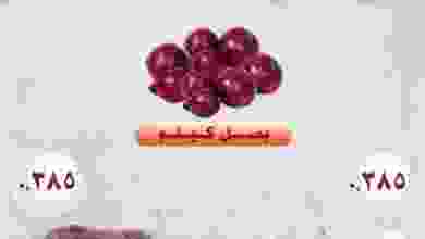 303112339_2022998774576171_950531424915951266_n