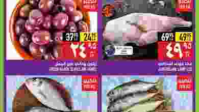 307578271_5604566166276283_4813492423569741749_n