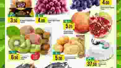 307996401_2303258393164054_8806701307793486232_n