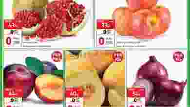 el3rod.com00001-1