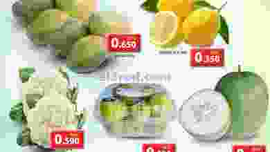 el3rod.com00001-110