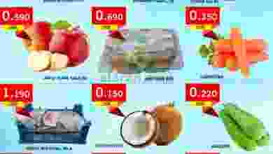 el3rod.com00001-1137